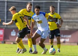VFC Plauen FC Carl Zeiss Jena 24082024 31
